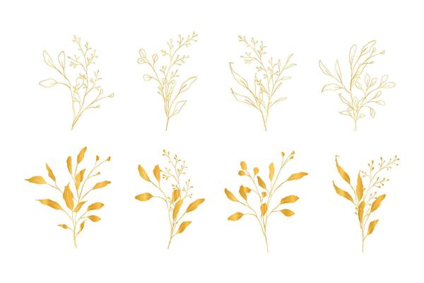 Botanical line art silhouette golden leaves hand drawn pencil sketches