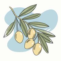 Sophisticated Olive Branch Illustration with Yellow and Green Tones vector
