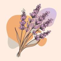 A charming lavender bouquet with delicate purple blooms and slender stems set against a gentle gradient background for a soothing effect vector