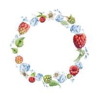 Raspberry berries wreath flying in water splash with leaves, ice cubes, dew drops hand drawn in watercolor. Ripe garden dewberry cloudberry mulberry. Isolated circle frame. Fresh grocery store, drinks vector