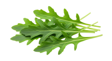 Deep Peppery Green Arugula Cluster with Irregular, Slightly Lobed Leaf Shapes png