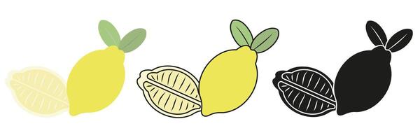 Set of Lemon Fruit Illustrations in Flat and Silhouette Styles. vector