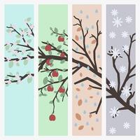 Tree branch four times a year at different times of the year. Set of images of the four seasons. vector