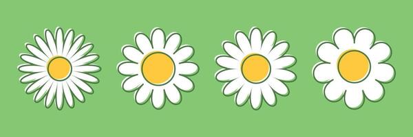 Four daisies are shown on a green background vector