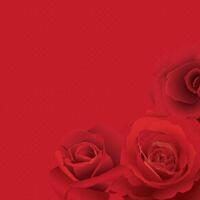 Red rose flower on red bond paper texture square background graphic illustration have blank space. vector