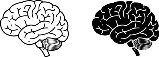 A brain silhouette to use in diagrams or artwork arrangements vector