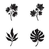 Set of minimalist black and white botanical illustrations featuring flowers leaves and tropical foliage elements vector
