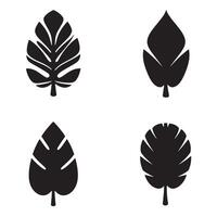 Set of illustrations featuring four stylized black leaf shapes on white background for creative design vector