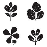 Elegant collection of stylized black leafy botanical elements suitable for decorative designs and nature themes vector