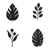 Simple and elegant black and white botanical leaf silhouettes on a clean white background for decorative designs vector