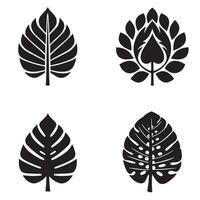 Black and white tropical leaf designs for graphic design projects and decorative applications vector