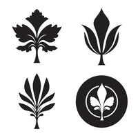 Elegant black and white botanical leaf design elements suitable for various decorative design projects. vector