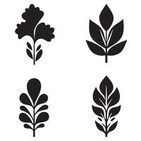 A collection of stylized black and white botanical elements showcasing a variety of leaves for creative design projects. vector