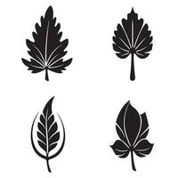 Collection of leaf silhouettes in black and white for decorative design elements and natural backgrounds vector