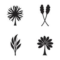 Collection of simple black and white botanical illustrations in modern design elements vector