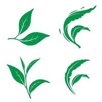 Green tea leaves silhouette graphics on white background vector