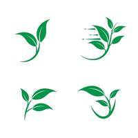 Collection of green leaf logos representing nature health and environmental concepts vector