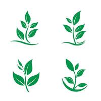 Collection of green leaf logos and icons representing nature health and wellness with minimal design style vector
