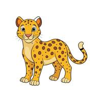 Cartoon Leopard Illustration Isolated On White Background, Standing Still vector