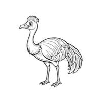 Line art illustration of a single stylized cassowary bird vector