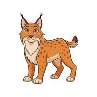 Cartoon bobcat illustration with defined lines and playful expression vector