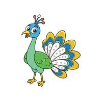 Cartoon peacock with vibrant feathers on a white background vector