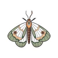 Illustration of a colorful moth, isolated on a white background vector