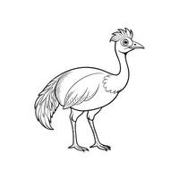 Stylized line art illustration of a cassowary bird standing vector