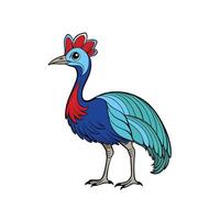 Stylized cassowary illustration with bright colors and bold outlines vector