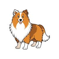 Cartoon Sheltie Dog with Happy Expression Isolated on White vector