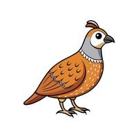 Cartoon quail illustration standing on white background profile view vector