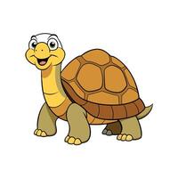 Cartoon turtle illustration with happy expression on white background vector