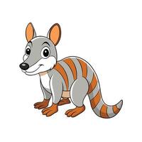 Cartoon Numbat Image Standing with Striped Pattern Tail vector