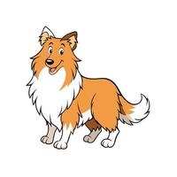 Cartoon Collie dog smiling and standing on a white background vector