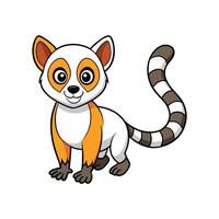Cartoon Mongoose Lemur with Ringed Tail on White Background vector