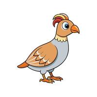 Cartoon quail with crest stands on white background vector