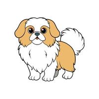 Cartoon Pekingese dog standing on white background illustration vector