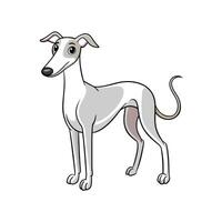 Cartoon greyhound standing tall with curious expression on face vector