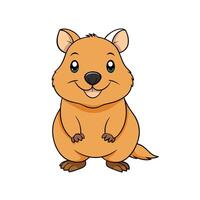 Cartoon quokka with friendly expression standing on white background vector