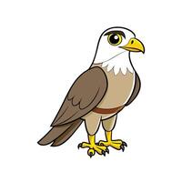 Cartoon style illustration of a brown falcon on white background vector