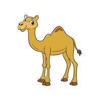 Cartoon camel in profile on white background illustration vector