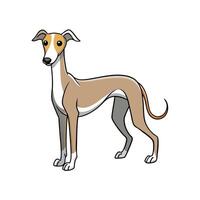 Cartoon whippet dog standing in a minimalist style vector
