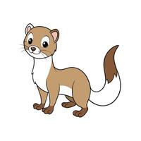 Cartoon weasel standing upright looking forward in cartoon style vector