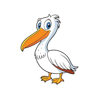 Cute Cartoon Pelican Illustration with Big Beak