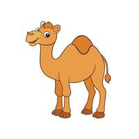Friendly cartoon camel standing profile with happy expression vector