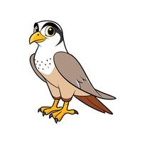 Cartoon falcon character standing against a plain background image vector