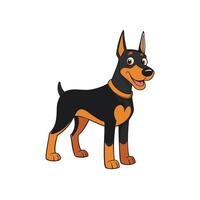 Cartoon doberman pinscher with friendly expression standing isolated on white vector