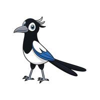 Cartoon magpie stands isolated on white background looking forward vector