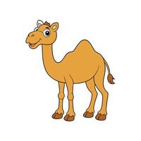 Cartoon camel standing upright with a friendly expression shown vector