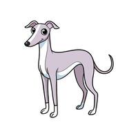 Cute cartoon greyhound standing isolated on a white background vector